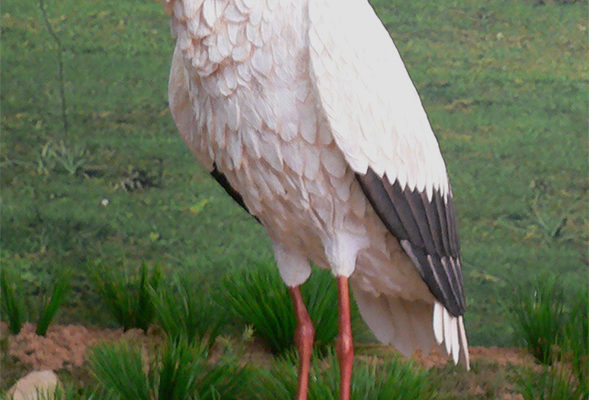 Figura de Cigüeña común a tamaño natural y acabado realista.