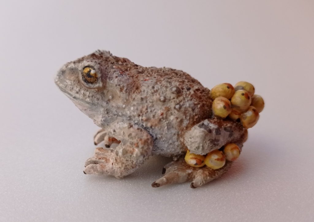 Figura de Sapo partero. Alytes obstetricans.