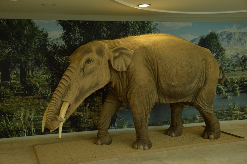 Figura de Gomfoterio a tamaño natural y acabado realista.