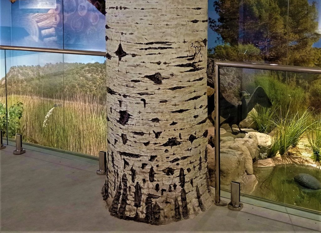 figura de Chopo para escamotear un pilar constructivo.