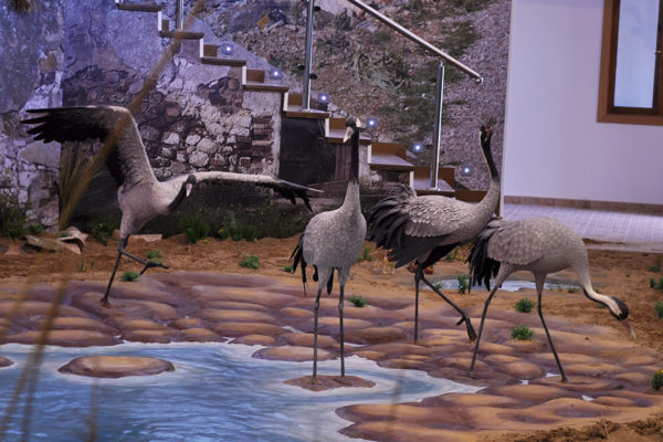 Figuras de Grulla común.