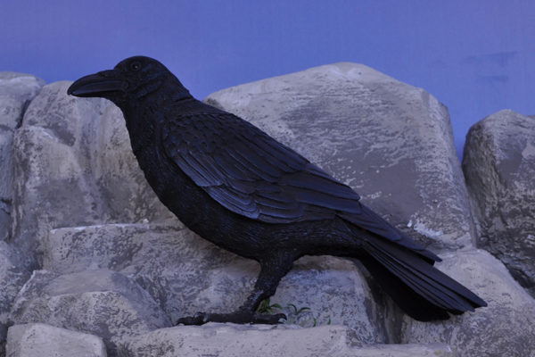Figura de Cuervo.