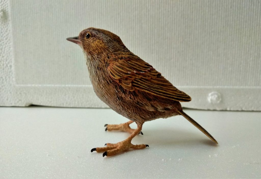 Figura de Acentor alpino. Prunella collaris.