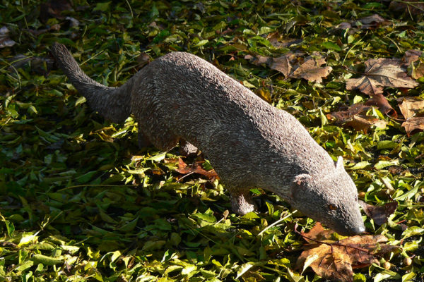 Figura de Meloncillo.