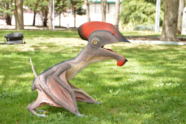 Figuras del Ptrodáctilo Europejara olcadesorum, macho en vuelo, hambra y cría.