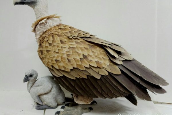 La madre y el pollo "posando". Tallado, modelado y pintado a mano.