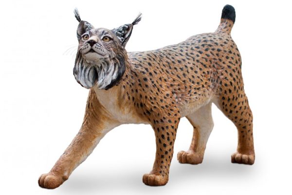 Figura de Lince ibérico. Réplica a tamaño natural y acabado realista.