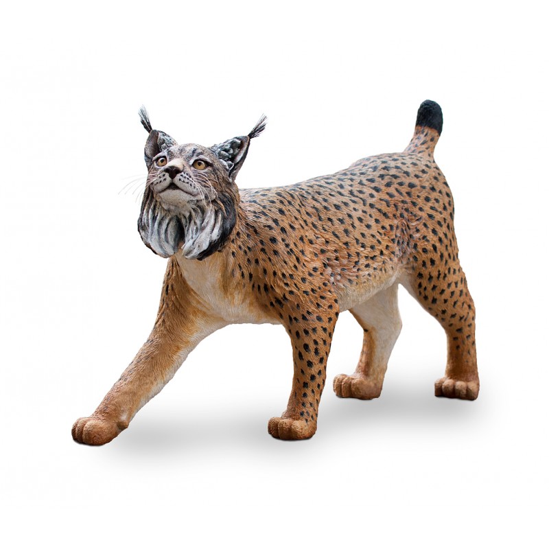 Figura de Lince ibérico. Réplica a tamaño natural y acabado realista.
