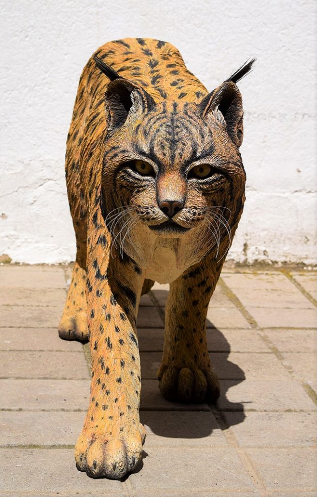 Figura de Lince ibérico, macho adulto.