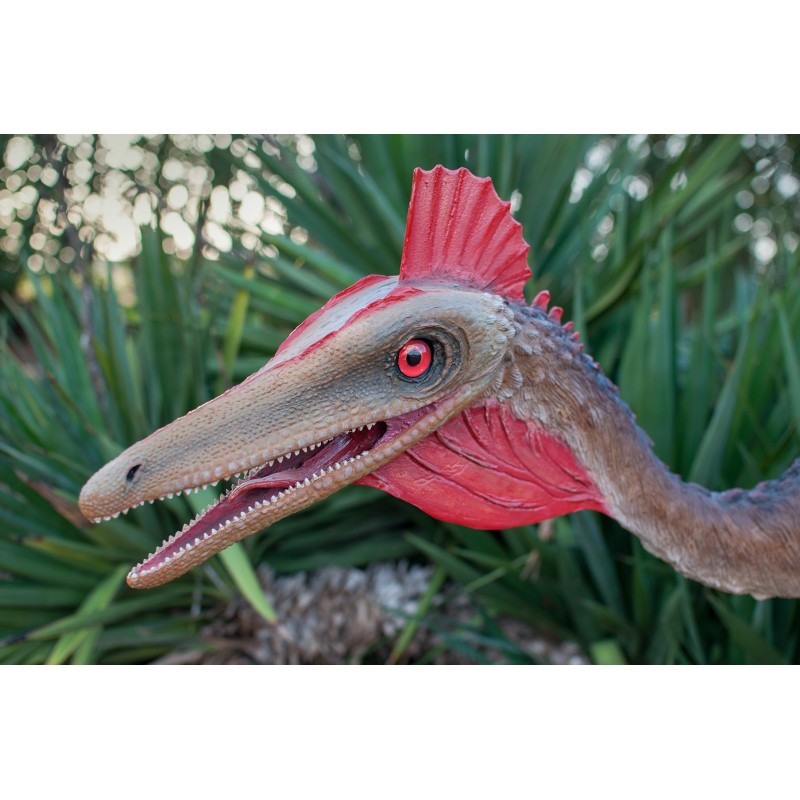 Figuras del dinosaurio Pelecanimimus polyodon.