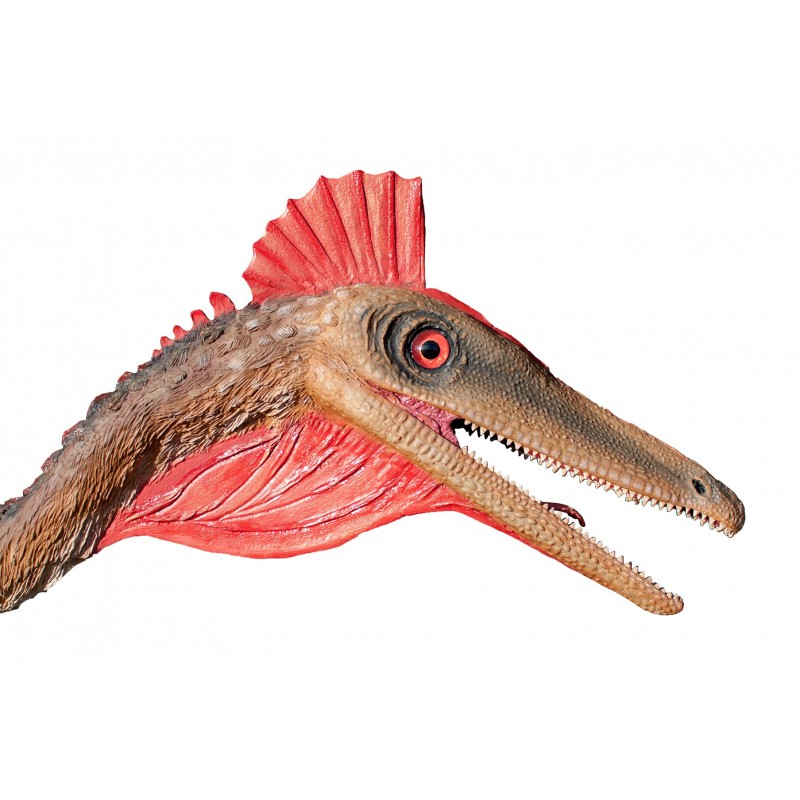 Figuras del dinosaurio Pelecanimimus polyodon.