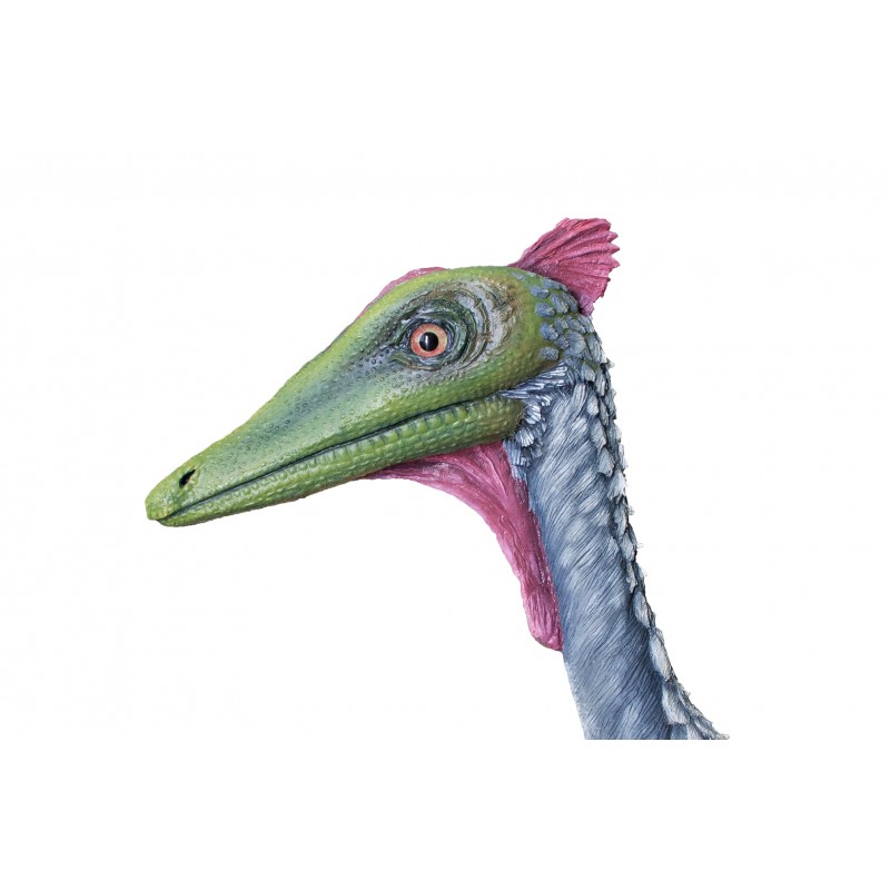 Figuras del dinosaurio Pelecanimimus polyodon.