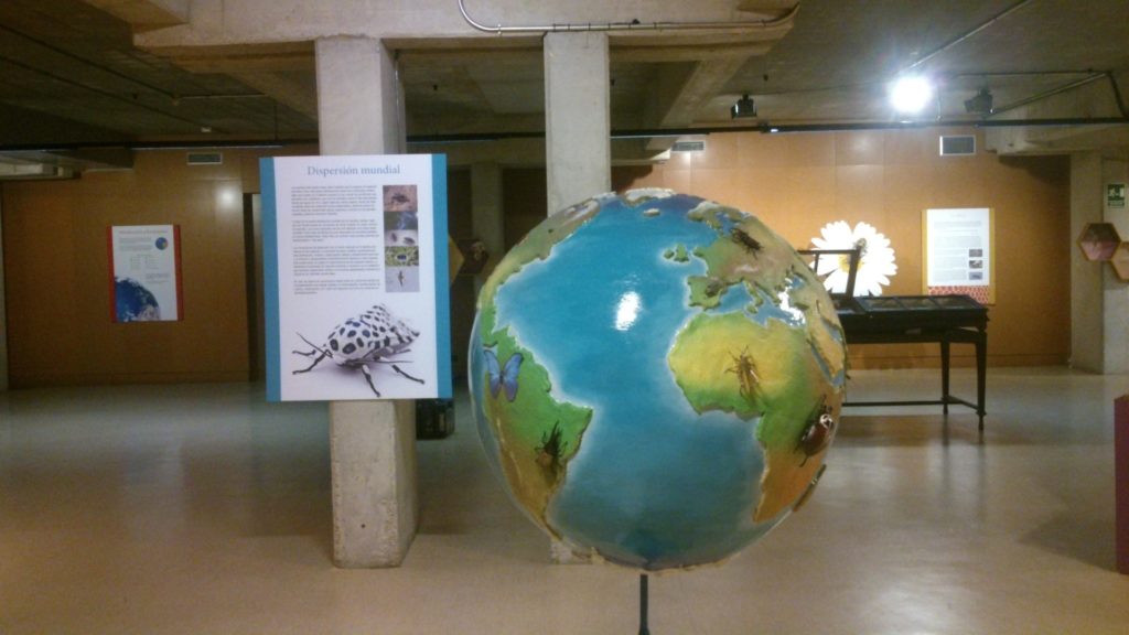 La exposición combinando diferentes recursos.