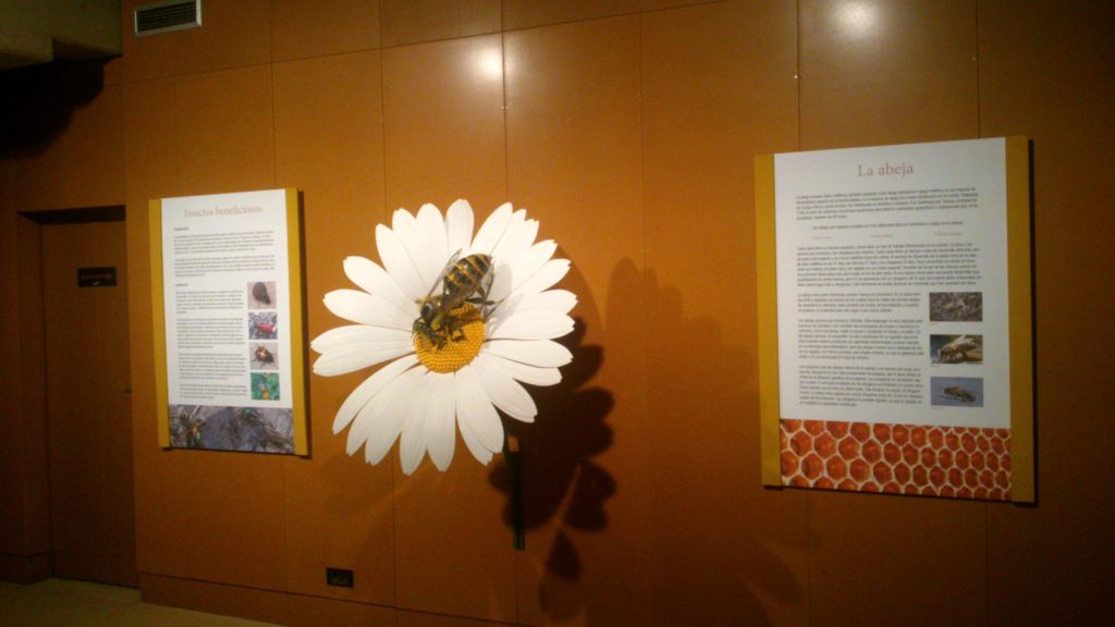 Gráfica breve y sencilla combinada con pequeñas escenas y réplicas.