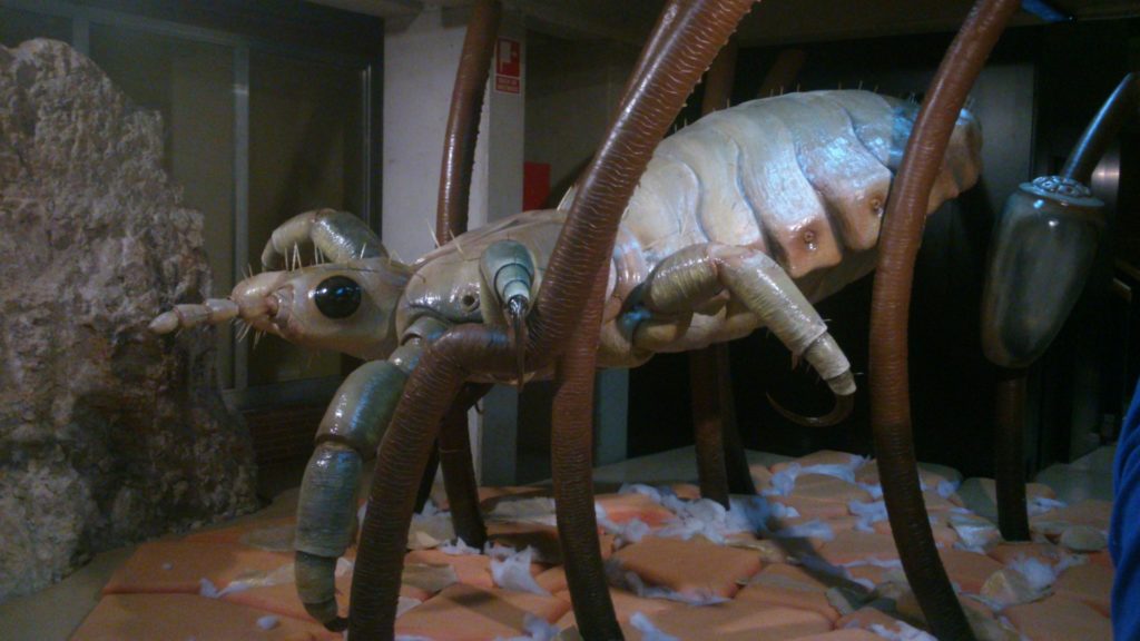 Impresionante réplica de piojo humano.