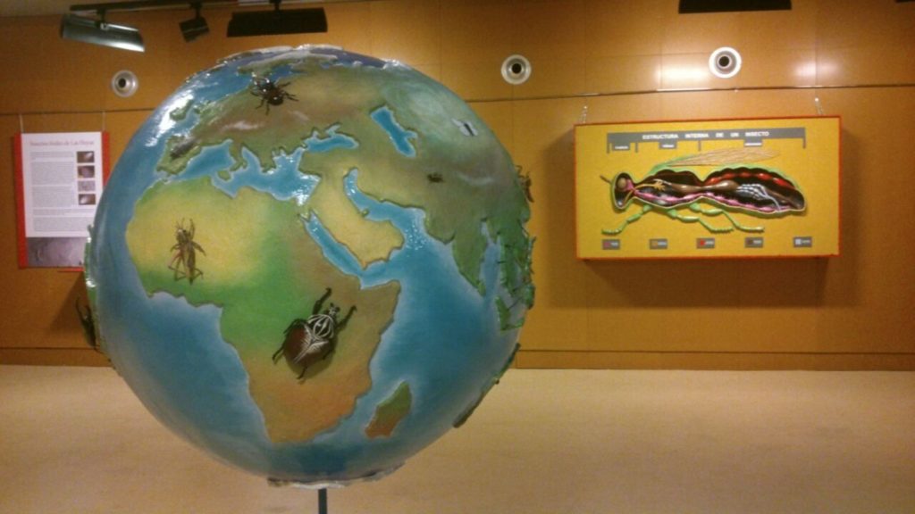 Maqueta de globo terráqueo con réplicas de insectos típicos de cada continente.