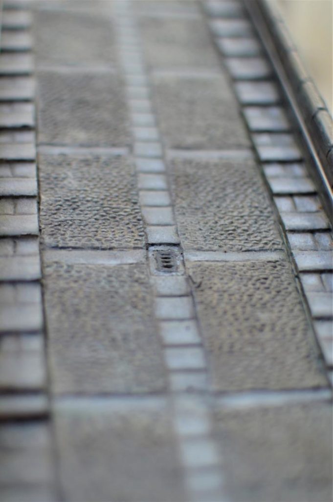 Detalle de la calzada peatonal.