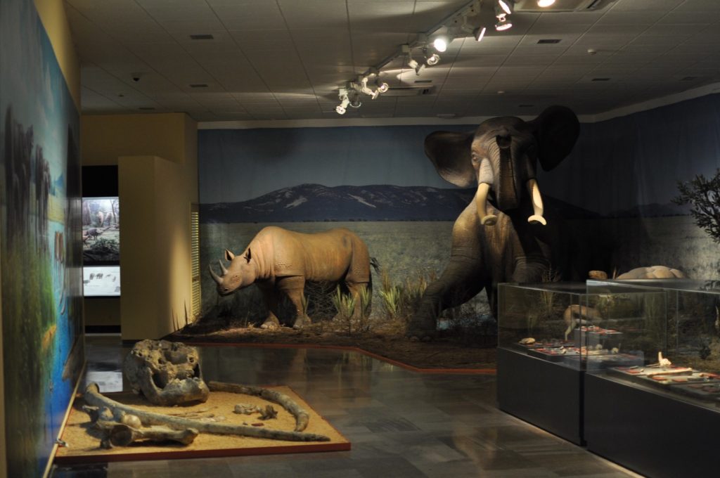 Vista general última readaptación.