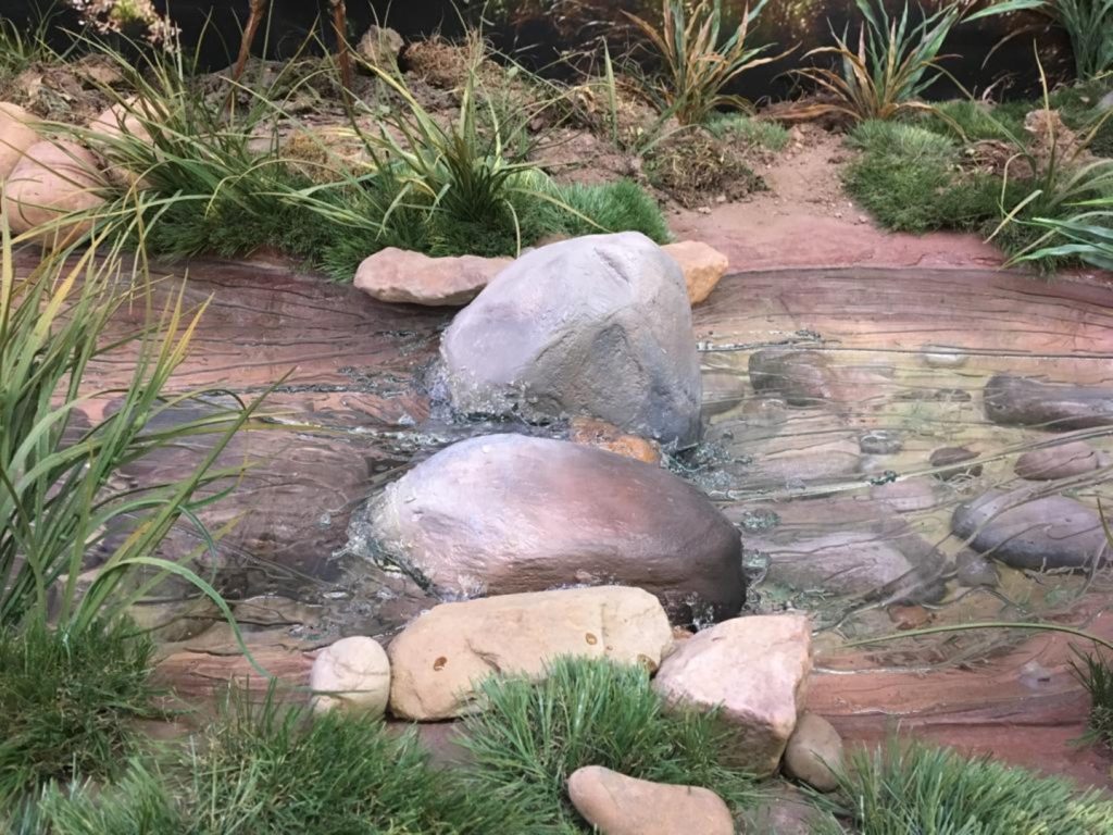 Perfil del arroyo con un pequeño salto de agua.