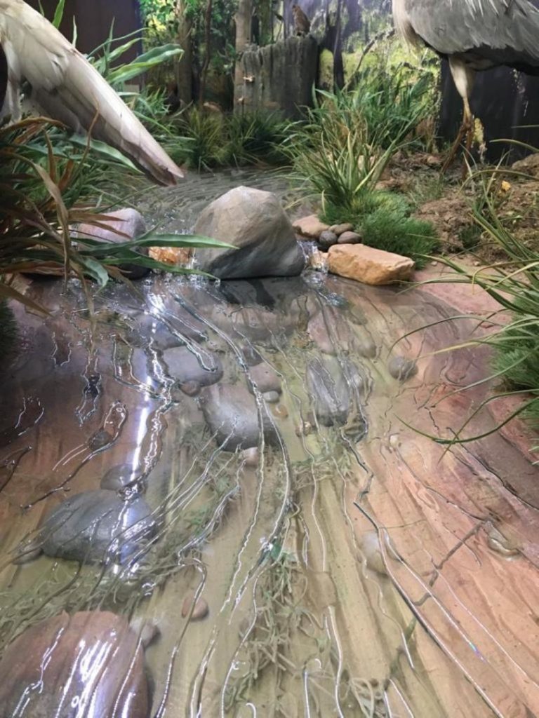 Otra vista del arroyo.