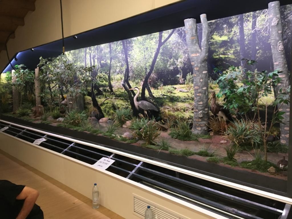 Vista general del diorama de 12 metros de longitud.