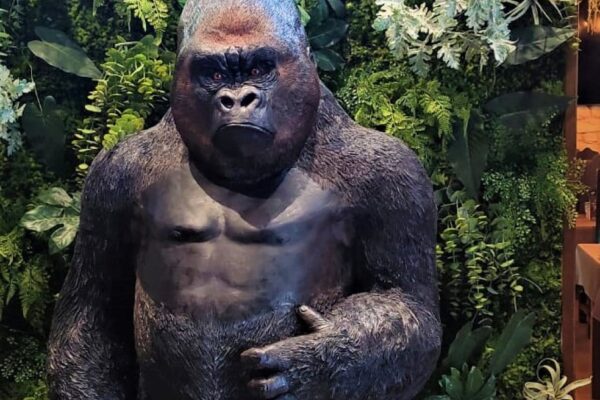 Figura de gorila con mirada penetrante erguido sobre sus pata traseras.