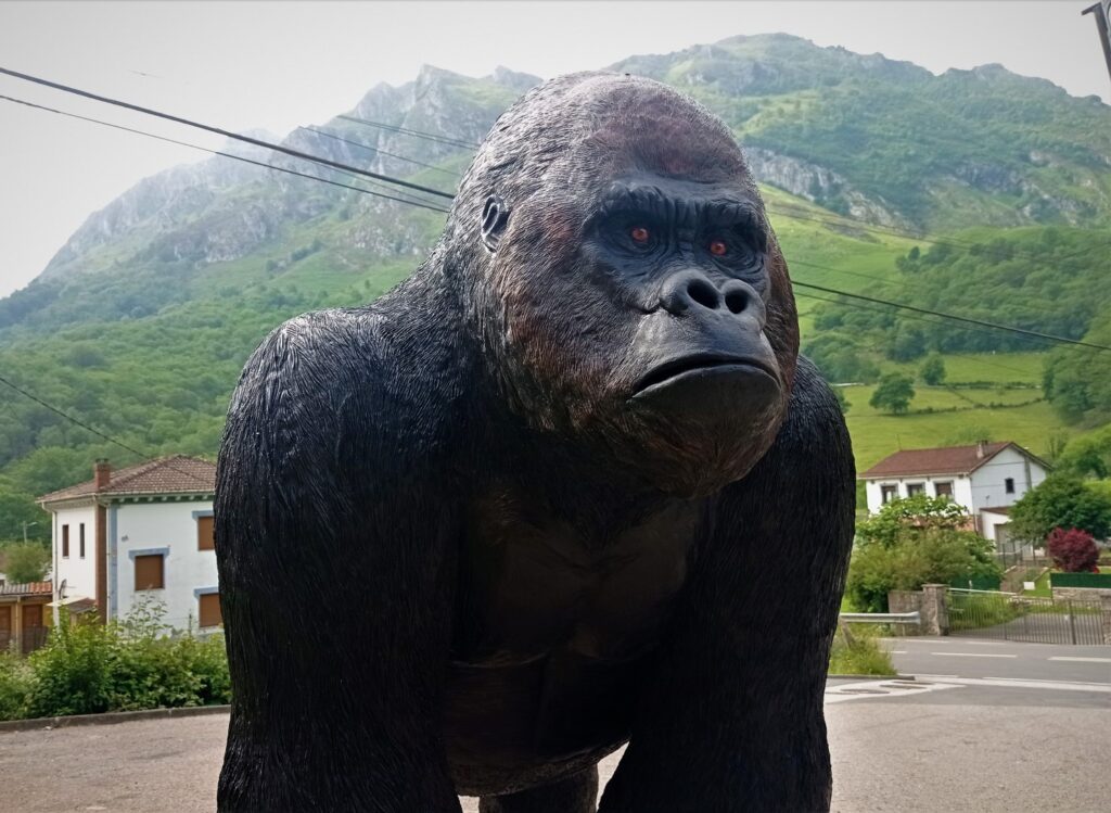 Detalle de la cabeza del gorila.