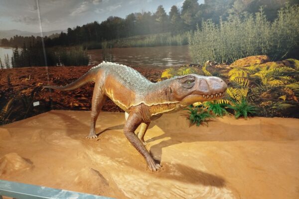 Replica de Chirotherium con diorama de entorno