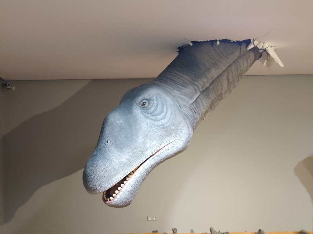 Perfil de la cabeza del Losillasaurio rompiendo el techo de la sala