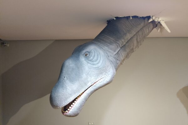 Perfil de la cabeza del Losillasaurio rompiendo el techo de la sala